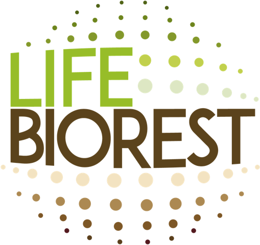 logo-biorestevo-ok